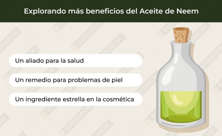 Aceite de Neem: beneficios y usos