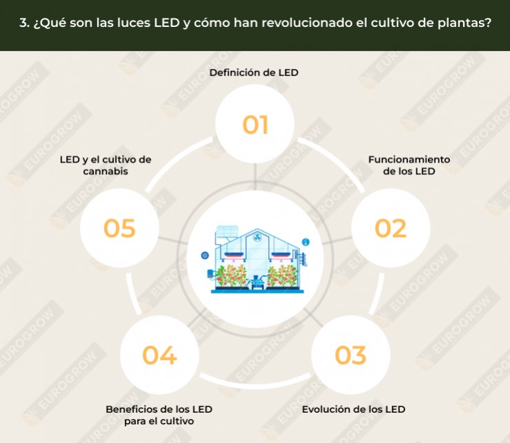 Beneficios Y Consideraciones Al Usar Bombillas LED En Tu Coche