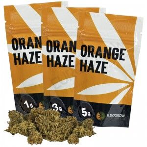 Comprar Orange Haze