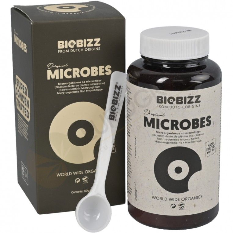 Biobizz Microbes
