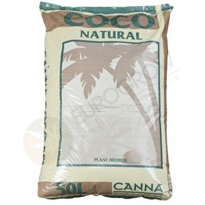 Comprar Natürliches Kokosnuss-Canna