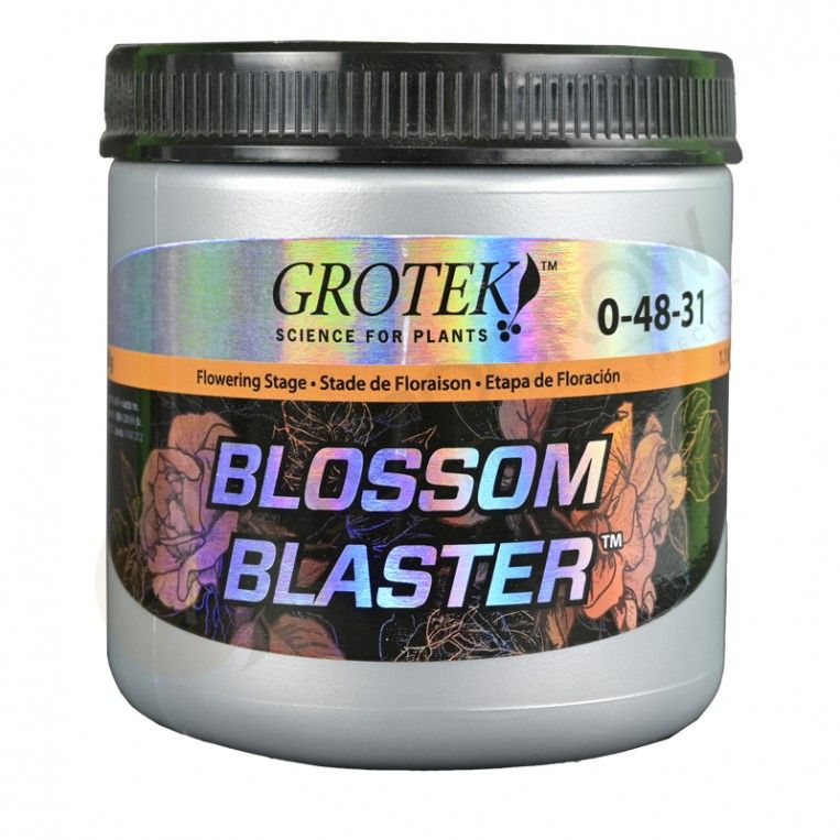 BLOSSOM BLASTER