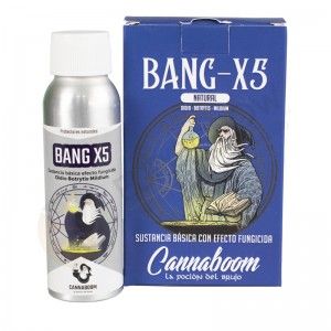 Comprar Bang X5