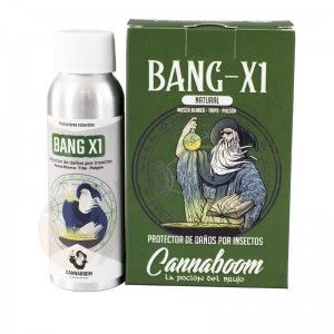 Comprar Bang X1