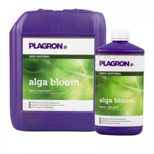 Comprar Alga bloom