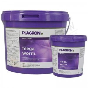 mega worm