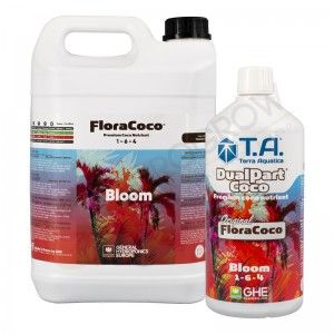 Comprar Dual Part Coco Bloom