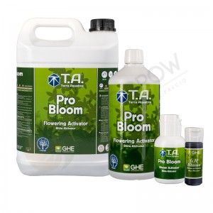 Comprar Pro Bloom