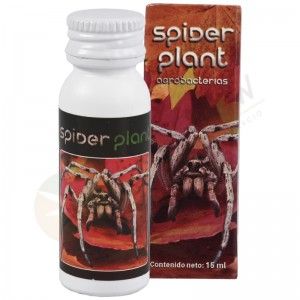 Comprar SpiderPlant Anti-aracnidos y Acaros 15ml