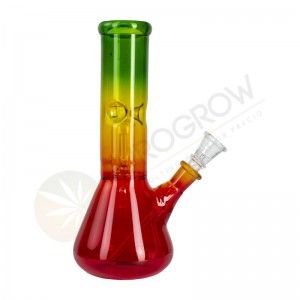 Comprar Rasta Perkolatorbong