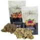 Pack Flores CBD Sugar