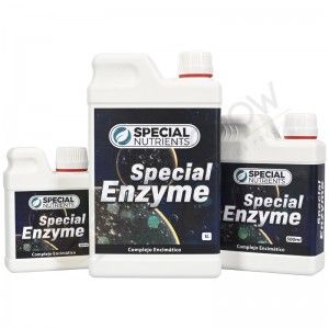 Comprar Spezielles Enzym