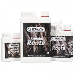 Special Roots