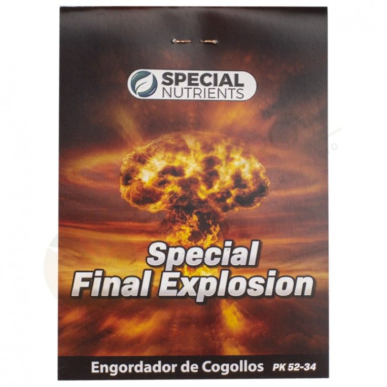 Special Final Explosion