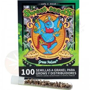 Pack 100 Semillas Sweet Seeds
