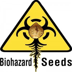 Comprar Coleccionista 2 Biohazard Seeds
