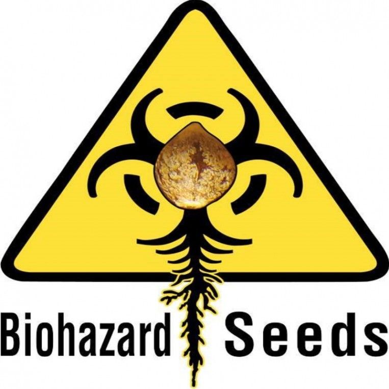 Coleccionista 2 Biohazard Seeds