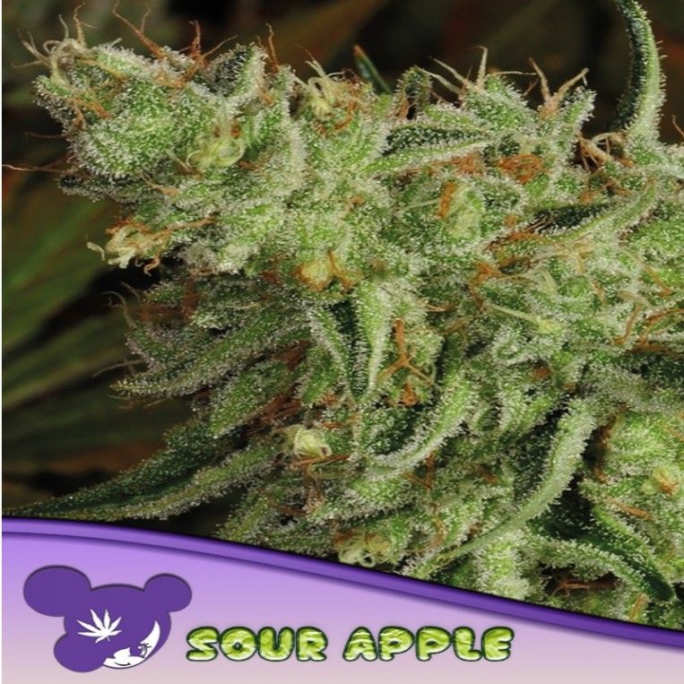 Sour Apple