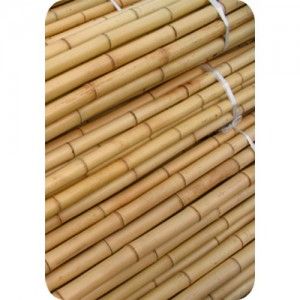 Comprar Tutor Bambu 105 Cm 8/10 (20Uds)