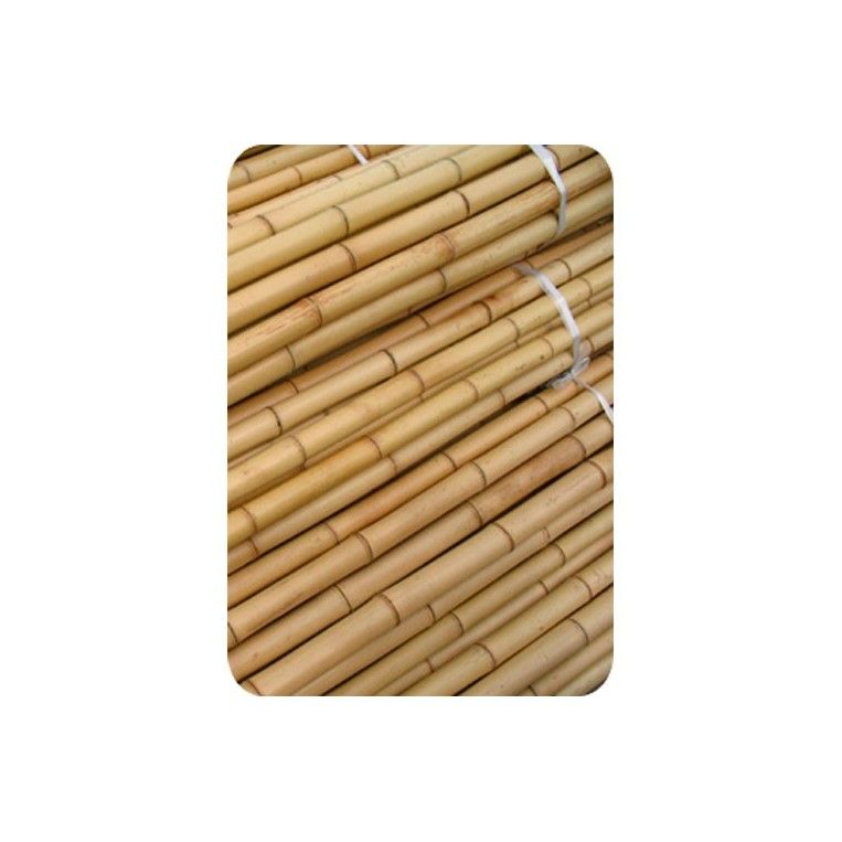 Bamboo Tutor 105 cm 8/10 (20 Einheiten)