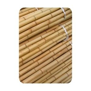 Comprar Tutor Bambu 60 Cm 6/8 (50 Uds)