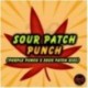 Saurer Patch Punch