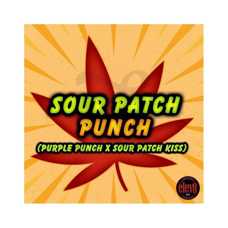 Sour Patch Punch