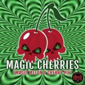 Comprar Magic Cherries