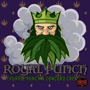 Comprar Royal Punch
