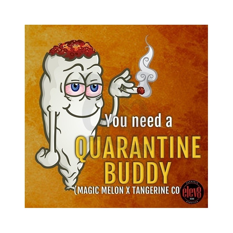 Quarantine Buddy