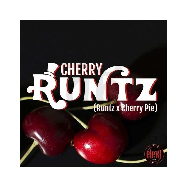 Cherry Runtz