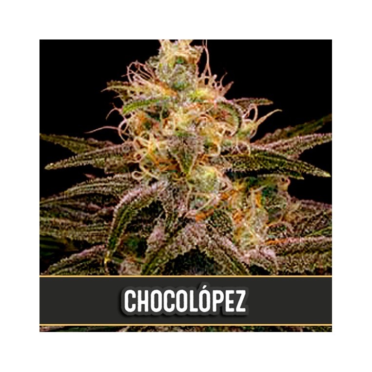 Chocolopez