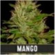Mango Blimburn Seeds