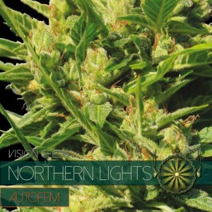 Comprar Northern Lights Autoflowering
