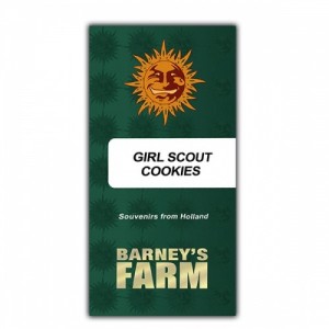 Comprar Pfadfinderplätzchen Barneys Farm