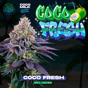 Comprar Coco Fresh