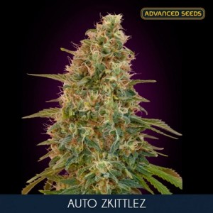 Comprar Auto Zkittlez Advanced Seeds
