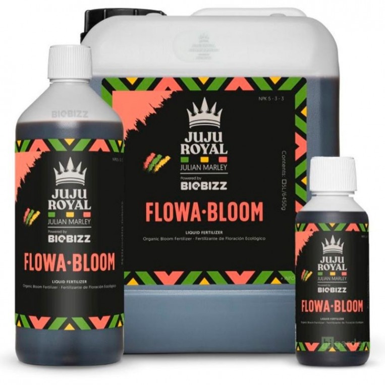 Flowa Bloom Juju Royal