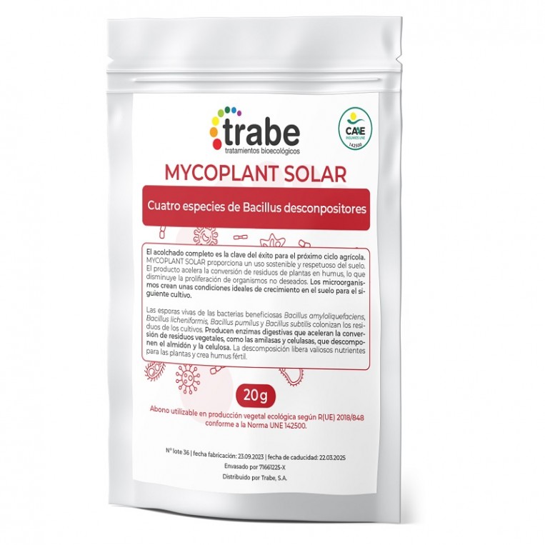 Microplant Solar