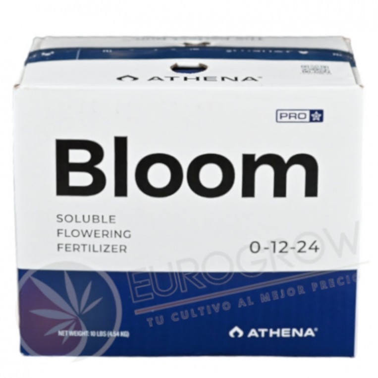 Athena Pro Bloom