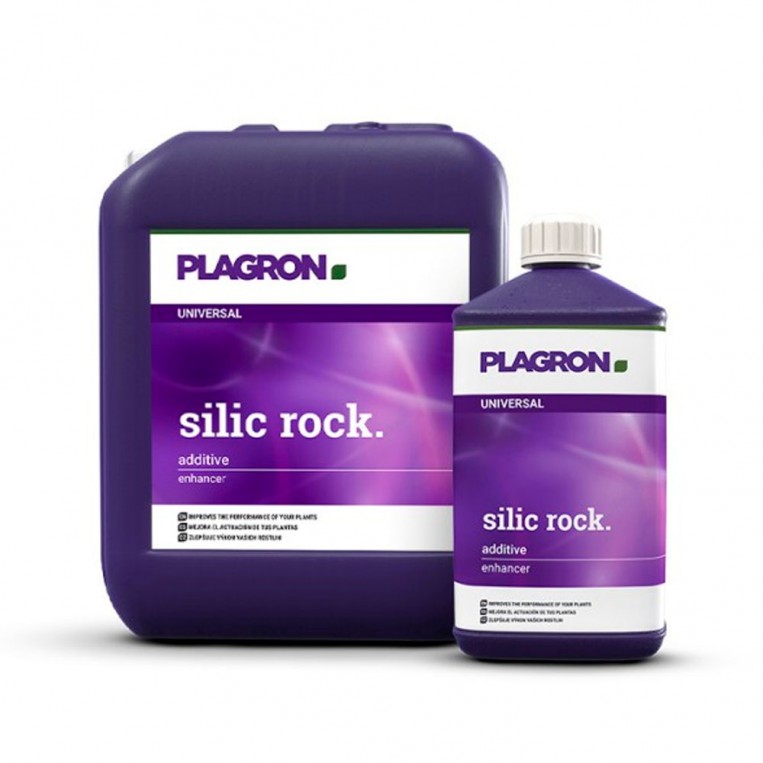 Silic Rock
