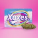 Hanf Cbd Xuxes Amnesia 3 gr