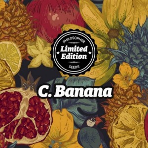 Comprar Chiquita Banana Ed.Especial