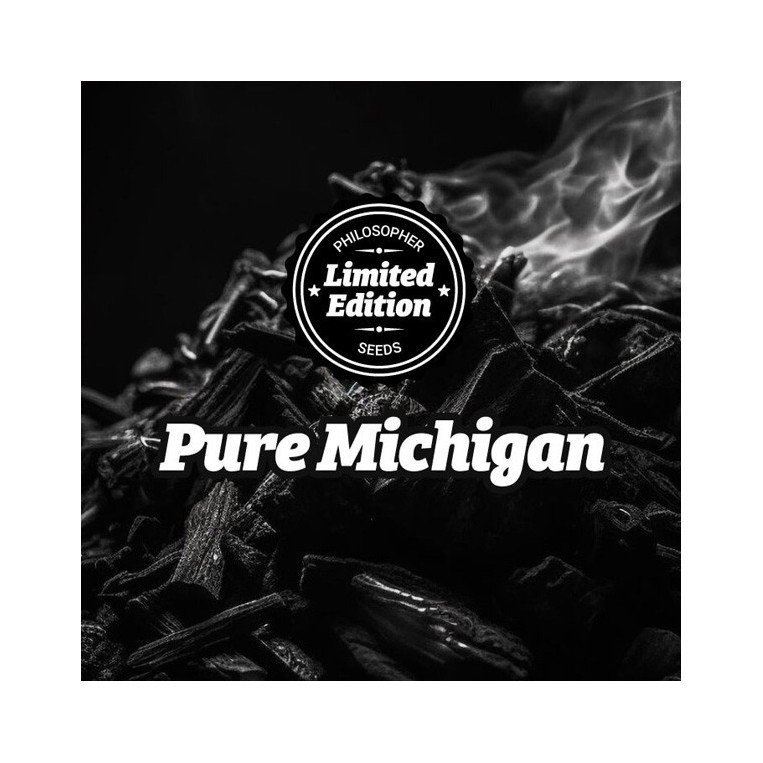 Pure Michigan Ed.Especial