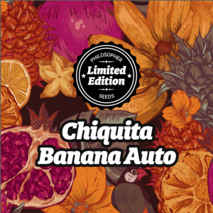 Comprar Chiquita Banana Auto Ed. Especial