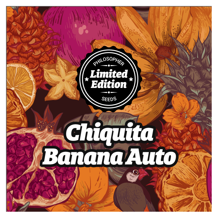 Chiquita Banana Auto Ed. Especial