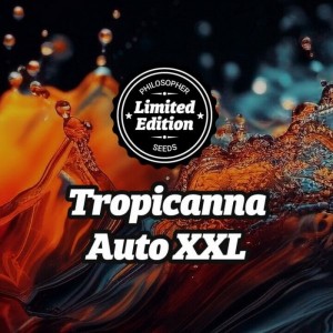 Comprar Tropicanna Auto XXL Ed. Especial