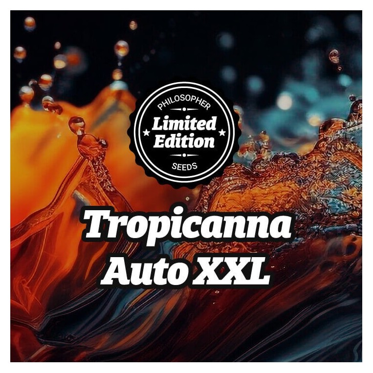 Tropicanna Auto XXL Ed. Especial