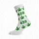 Calcetines Blancos Y 420 Hojas Verdes