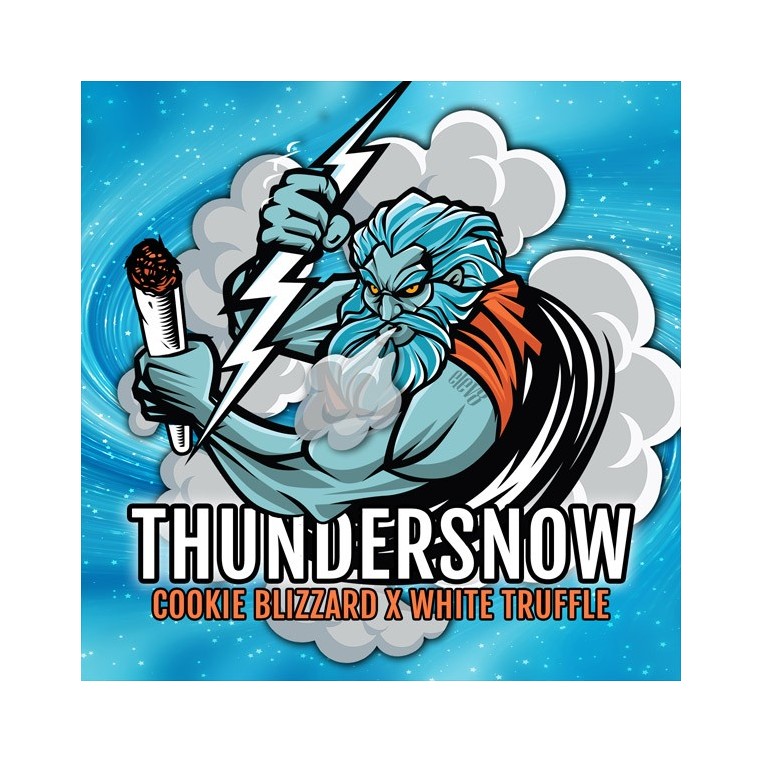 Thundersnow